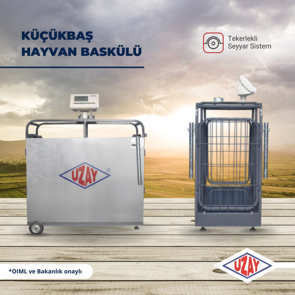 Uzay Baskül Canlı Hayvan Kantarı: Hayvancılıkta Güvenli, Doğru ve Verimli Tartım Çözümü